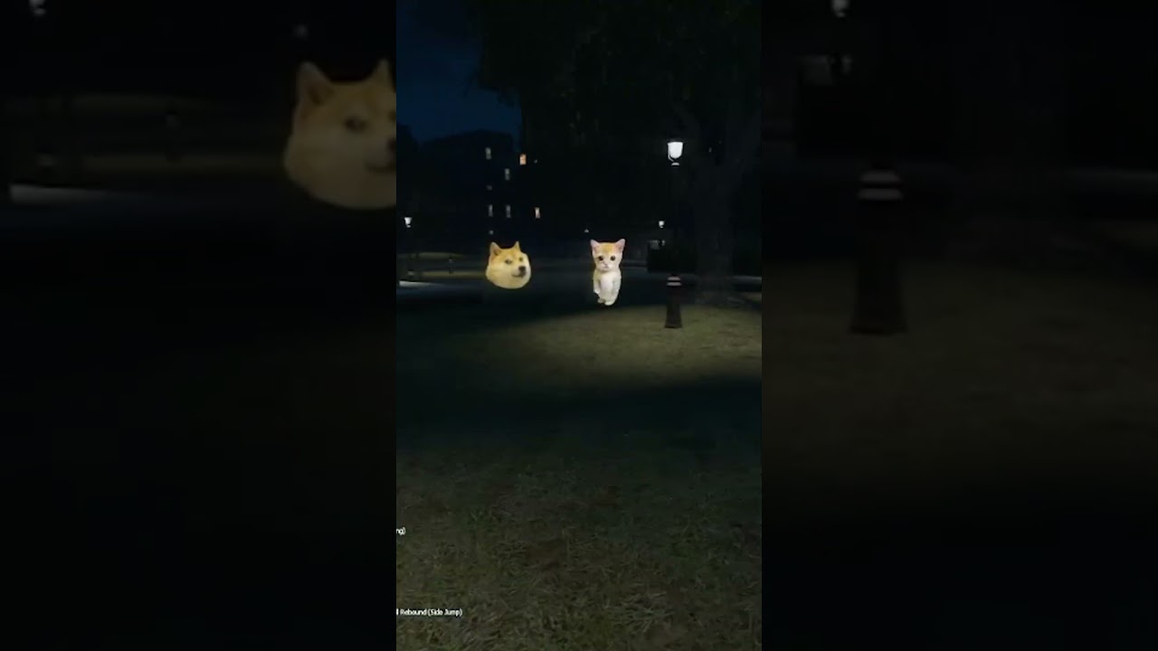 cheems,doge and cat kill me in a city  