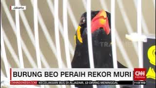 Burung Beo Peraih Rekor Muri | REDAKSI SIANG (13/09/21)