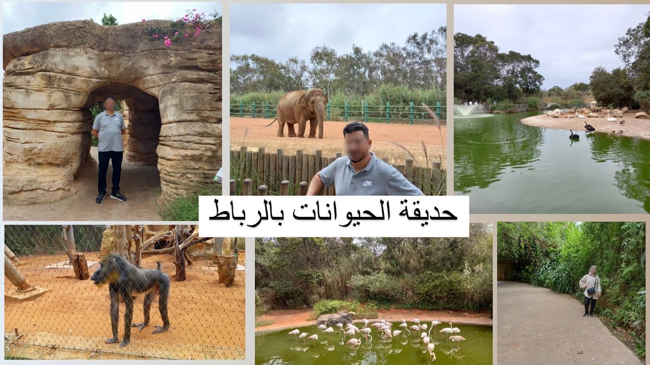 جولة فحديقة الحيوانات بالرباط العاصمة