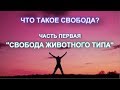 ЧТО ТАКОЕ СВОБОДА? ЧАСТЬ ПЕРВАЯ - СВОБОДА ЖИВОТНОГО ТИПА