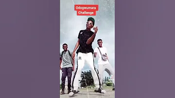 Odogwumara Dance Video by AFRO TORTOISE#odogwu mara dance