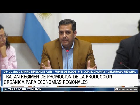 COMISIÓN EN VIVO: 10 de mayo de 2023 - ECONOMÍAS Y DESARROLLO REGIONAL - Diputados Argentina