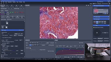 [Official-EN] Operation of a Motorized Upright Fluorescence Microscope #zeiss #microscope