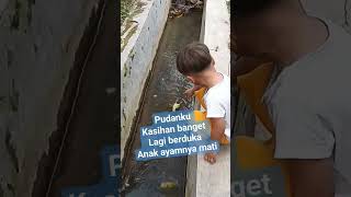 turut berduka anak ayam mati #darlinbabysihite #simokkustoba