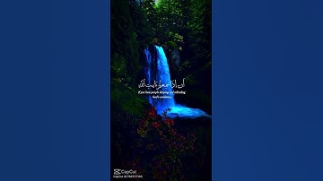 تلاوه خاشعه للشيخ عبد الله موسي #قران_كريم #اكسبلور #المصحف