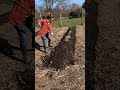 Seeding carrots (March 26, 2020)