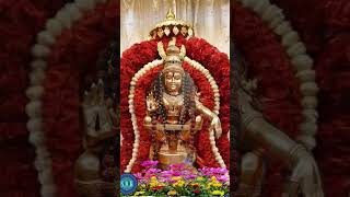 Saranam Ayyappa 🙏🙏🙏🙏