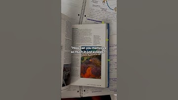 This song is a banger! #apchem #studymotivation #study #honorstudent #school #studying