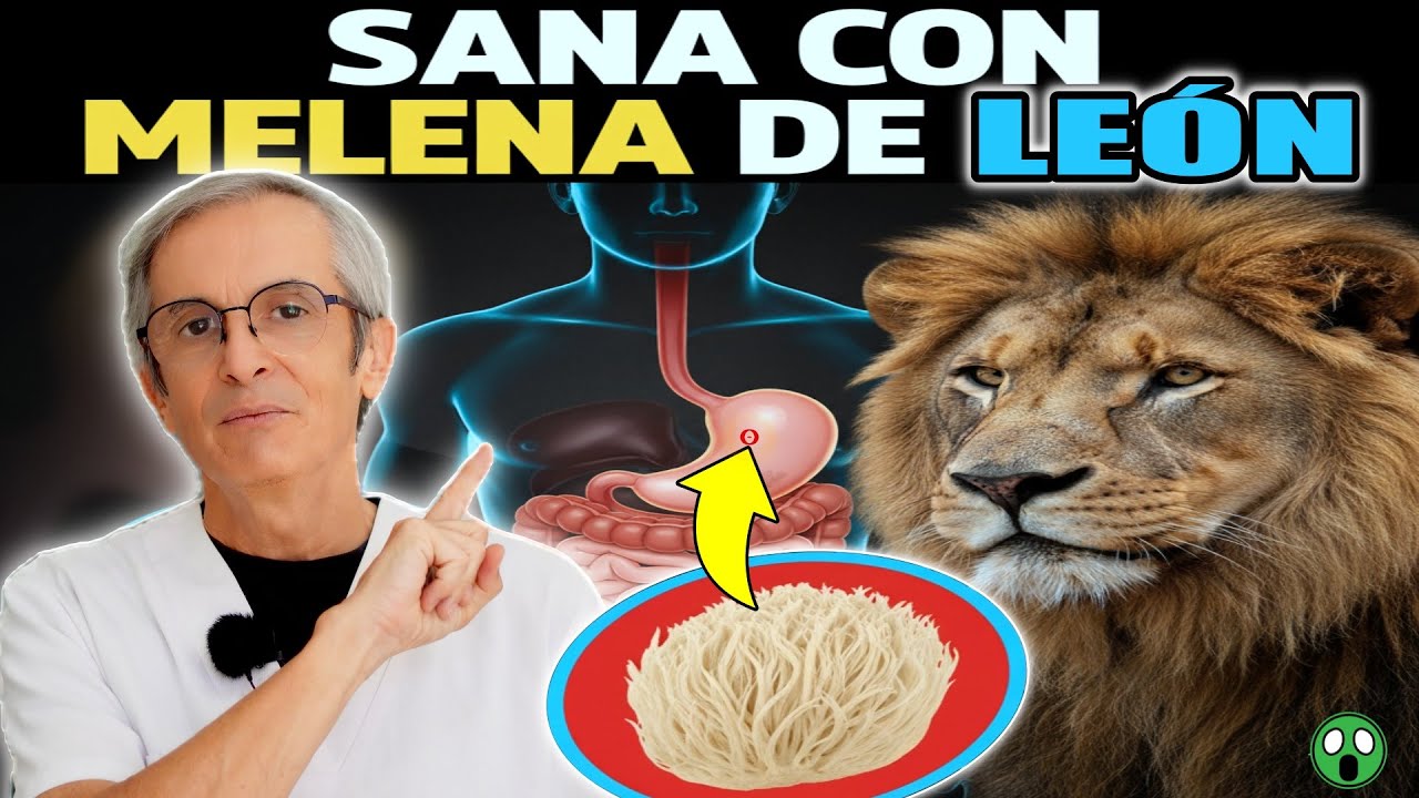MELENA de LEÓN: 9 INCREIBLES BENEFICIOS de este hongo