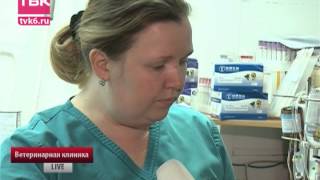 Спасение или убийство? Спасение или убийство?