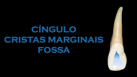 O que é o forame cego da língua?