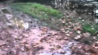 Pond Siphon