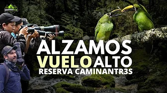 WE DREAM in CHAOS I The CaminanTr3s Reserve