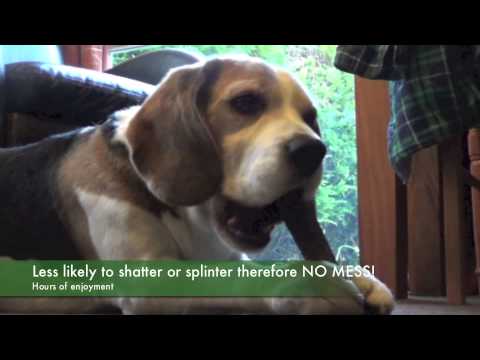 antler-dog-chews-uk