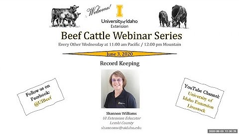 The Proof is in the Records: Effective Record Keeping for Beef Cattle