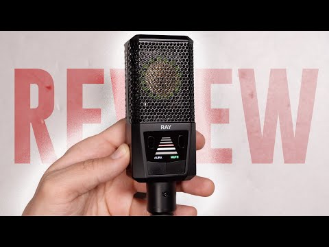 Lewitt Ray Review