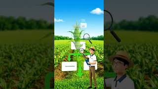 🌱 Seed Certification Process Explained in 30 Seconds | B.Sc Agriculture |