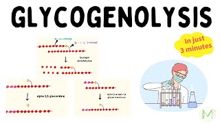 Glycogenolysis | In just 3 minutes | Biochemistry | Medinare