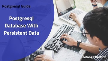Postgresql With  Persistent Data