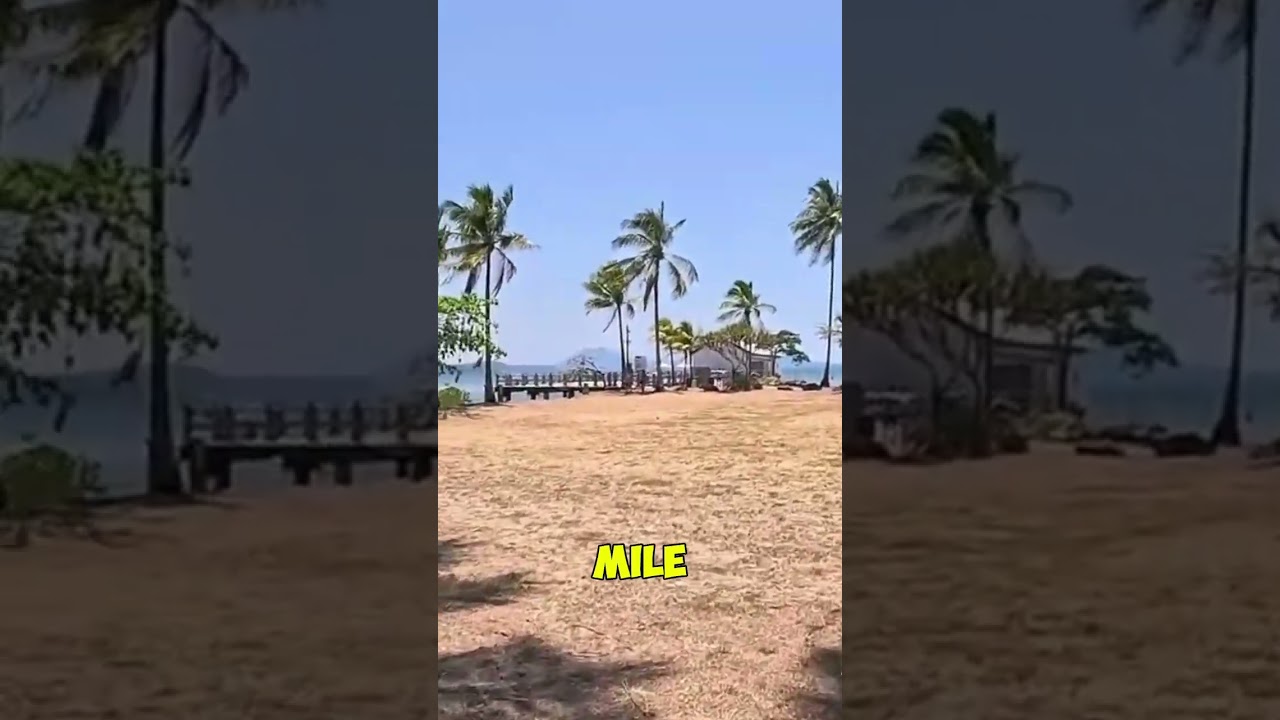 Effortless Metric System Conversion: Here's How  