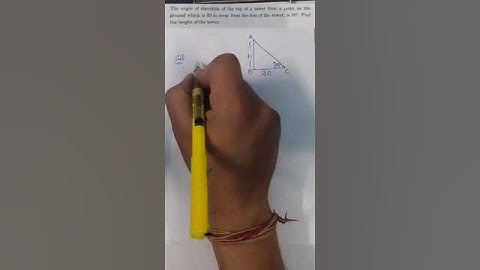 Some Applications Of Trigonometry | Maths | Height And Distance Class 10 | CBSE