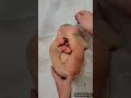 Womb Baby - How Babies Are Born