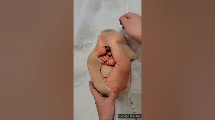 Womb Baby - How Babies Are Born