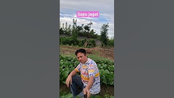 Sapu jagat.Doel Sumbang #trendingshorts