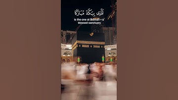 تلاوة قصيرة مؤثرة من القرآن الكريم | ترتيل يريح القلوب