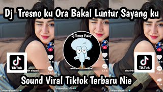 DJ TRESNO KU ORA BAKAL LUNTUR SAYANG KU DJ SAESTU KULO SENENG SAMPEAN SOUND VIRAL TIKTOK TERBARU NIE