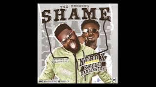 Nero X ft Kweku Darlington - Shame ( Prod By WillisBeatz)