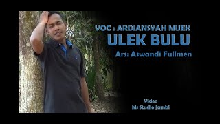 ULEK BULU Voc : Ardiansyah Muek (Official Video)