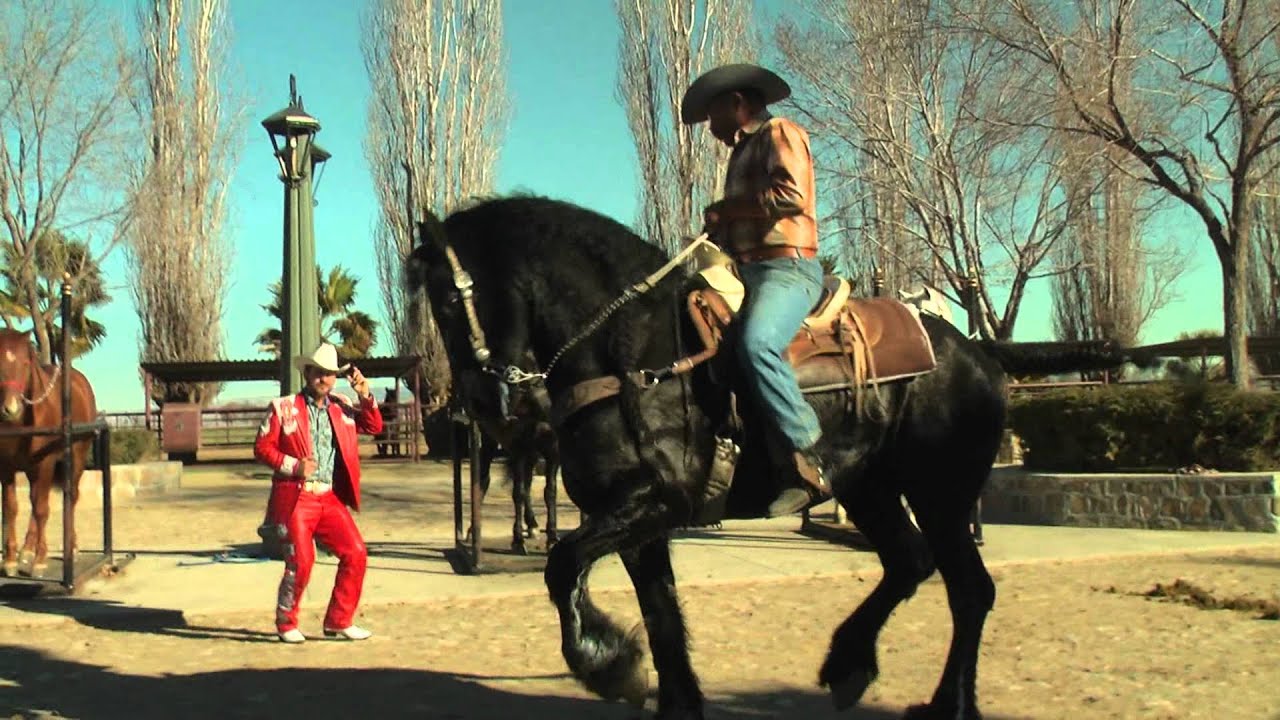 El apomeño de sinaloa - El ranchero empresario.mpg
