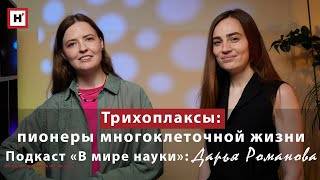 картинка: Трихоплаксы: пионеры многоклеточной жизни. Подкаст «В мире науки»: Дарья Романова