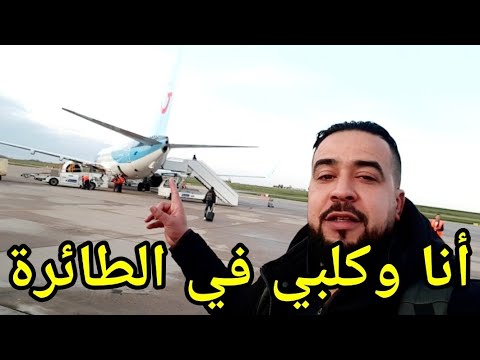 فيديو: السفر بالطائرة مع كلبك