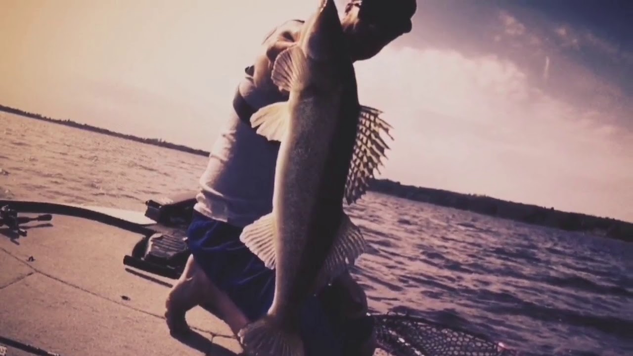 Prorex Minnow SR 12cm - big perch and zander