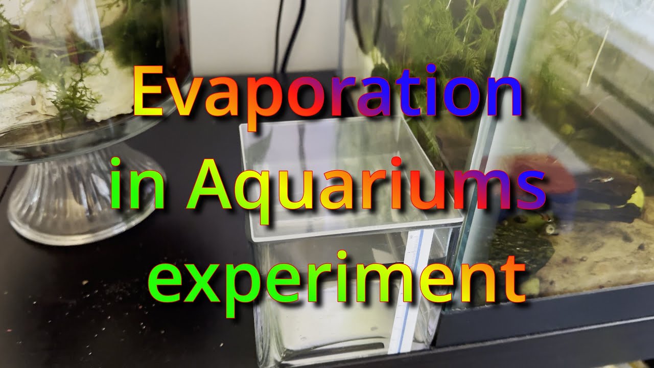 Image showcasing Evaporation in Aquariums experiment - YouTube