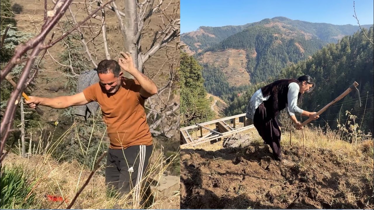 Papa ko pehli baar dekha dance karte huye😂😂khet m 2nd day 🏡✨#villagelife #phadilifestyle #pahadi🫶🏻❣️