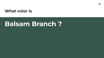 Balsam Branch color #36574e hex color - Green color - Warm color 36574e