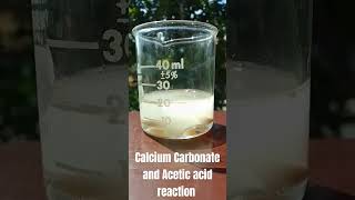Calcium Acetate from CaCO3 and HAc #chemistry #experiment #chemical #acid #aceticacid #science