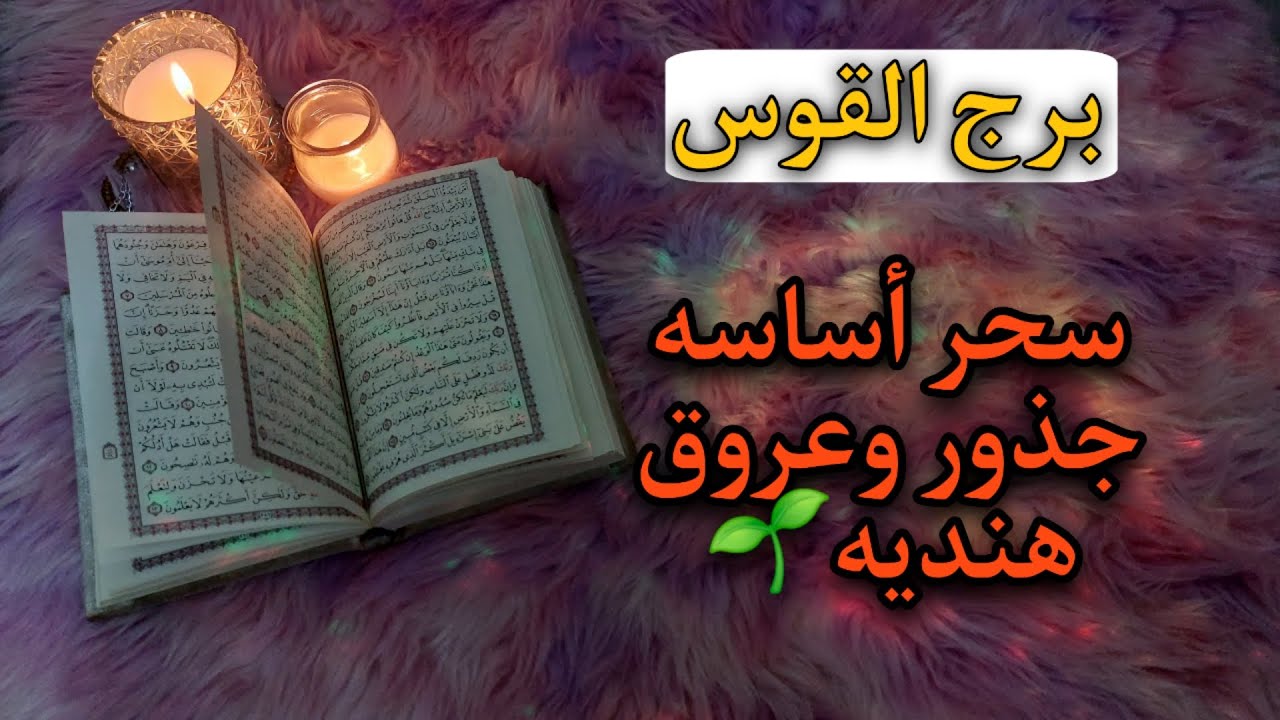 برج القوس استخارة روحانية أكتوبر 2025 . كما يأكل القط صغاره يأكل الحب عشاقه