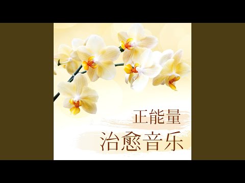 Sleduj 深度疗愈音乐 na YouTube