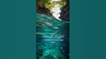 تلاوة خاشعة للقرآن الكريم مع الشيخ سيد سعيد   تلاوة مؤثرة #سيد سعيد #قرآن