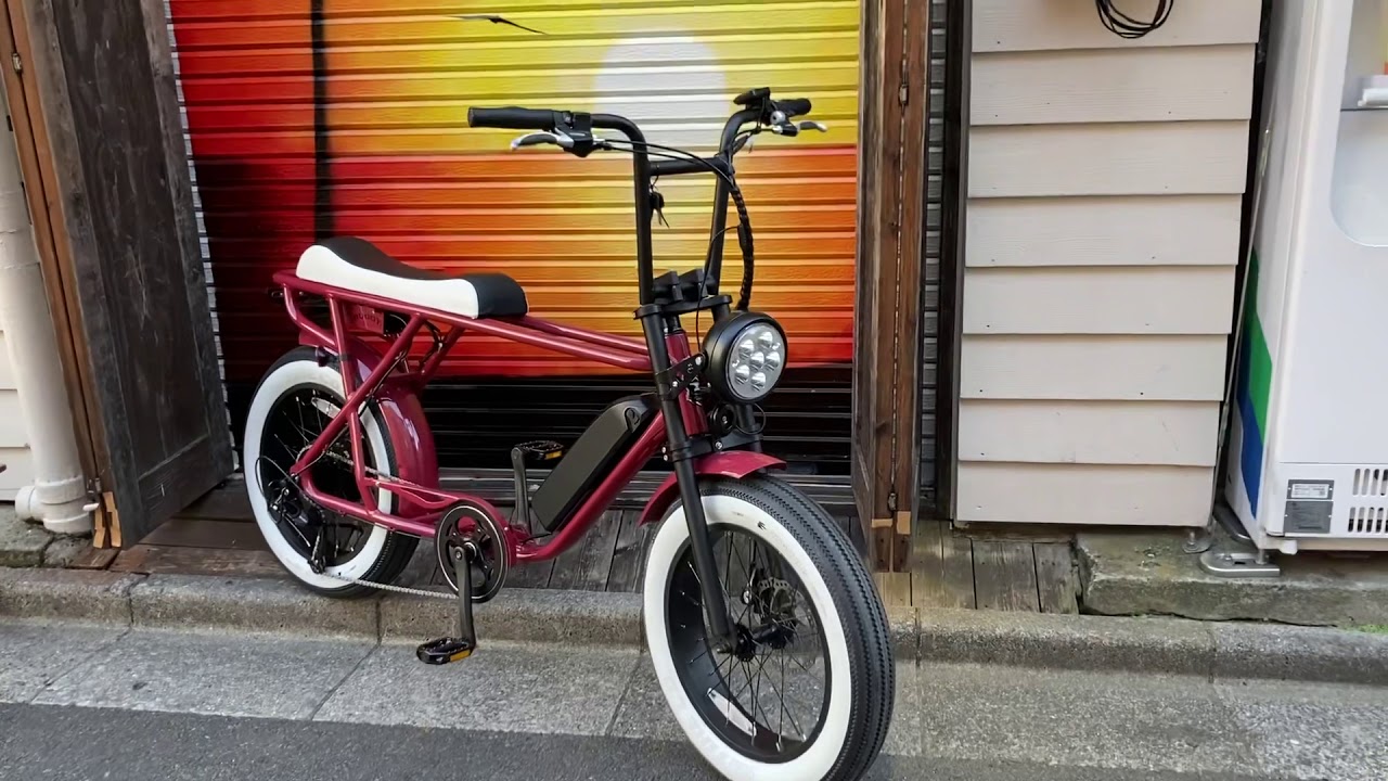 新商品_人気】ファットバイク BRONX BUGGY 20 e-bikes / マルーン