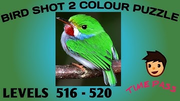 Bird sort 2 colour puzzle 🐦 level516-520 #birdsortcolorpuzzle #birdpuzzle #birdshort