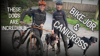 I Tried Bikejor. The Craziest Thing I have Done On A Bike. Trying Canicross And Bikejor