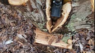 Tractor Supply CountyLine CountyLine-25 Ton Log Splitter splitting a tough nut