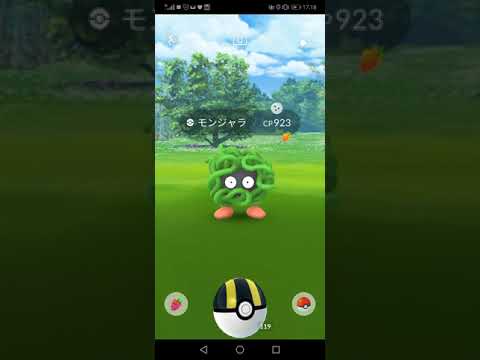 ポケモンgo モンジャラ 色違い No114 Youtube