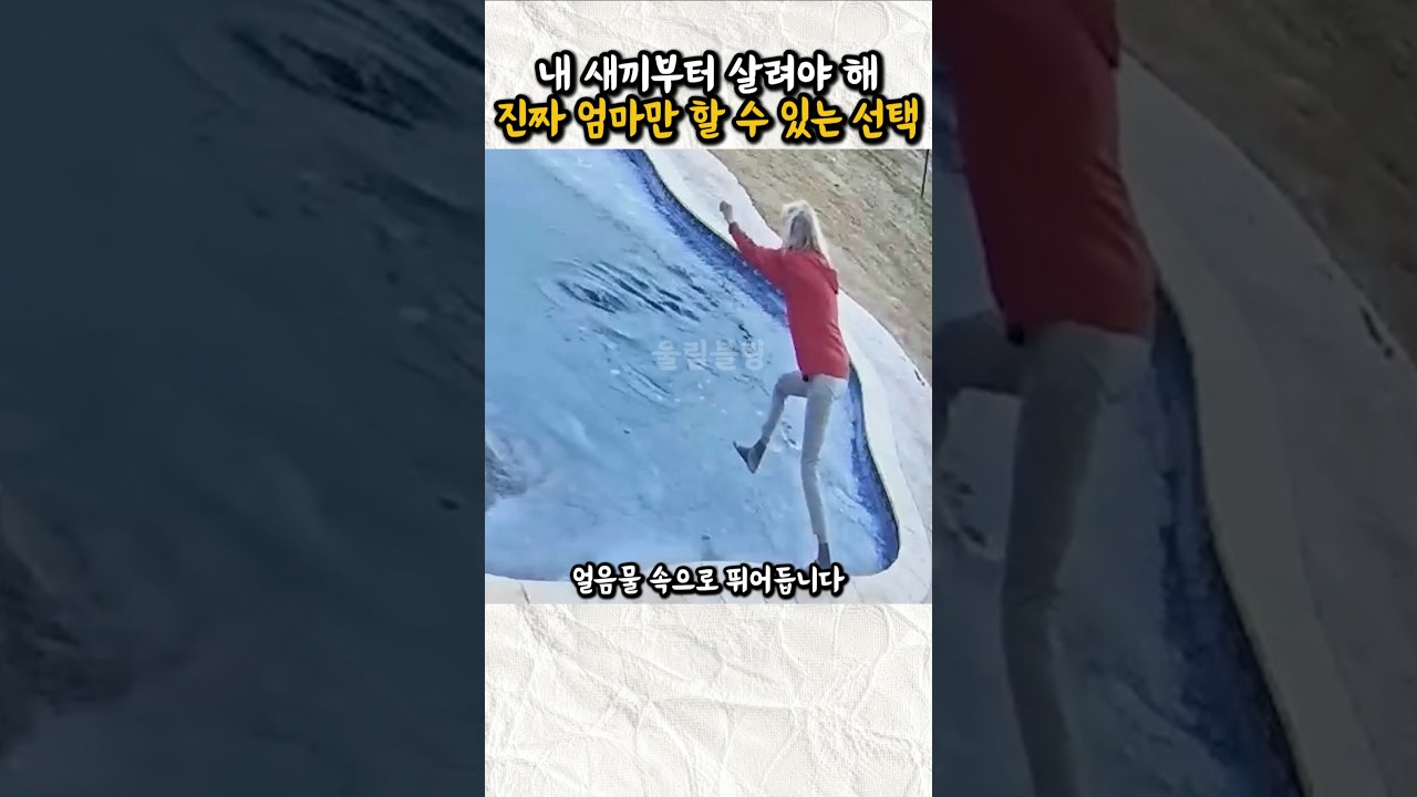 1초의 망설임도 없이 얼음물로 뛰어들어간 이유#Shorts #엄마 #반려견 #감동실화 #댕댕이