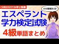 【エスペラント学力検定試験】4級を来週受験するので単語まとめ作ってみた！【VTuber朝森久弥】